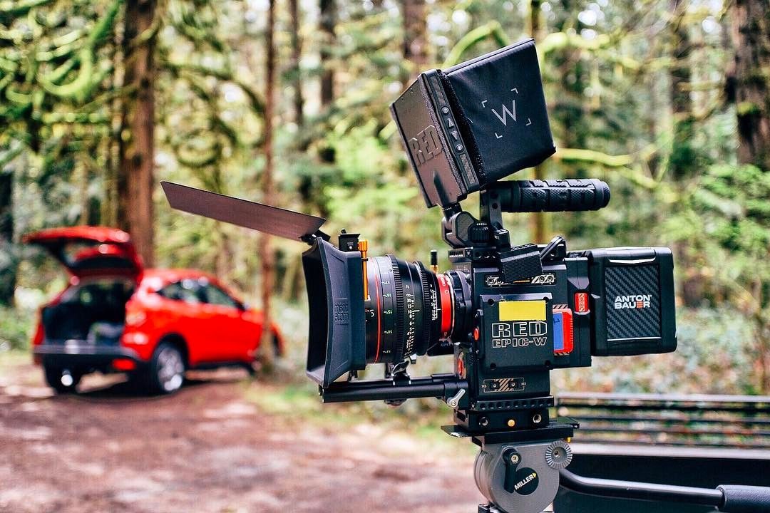 Epic-W on sticks in the mossy forest with a red Honda behind